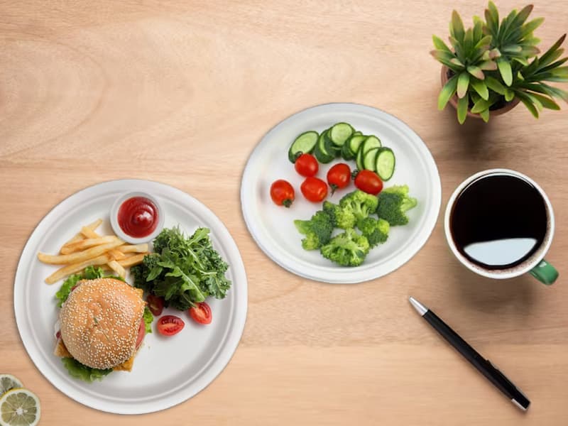 Disposable Bagasse Pulp Plain Round Plates Big - 9 Inch | 11 Inch 3