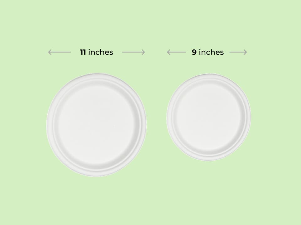 Bagasse Round Plates Big | Disposable Plain Plates - 9 Inch | 11 Inch 2