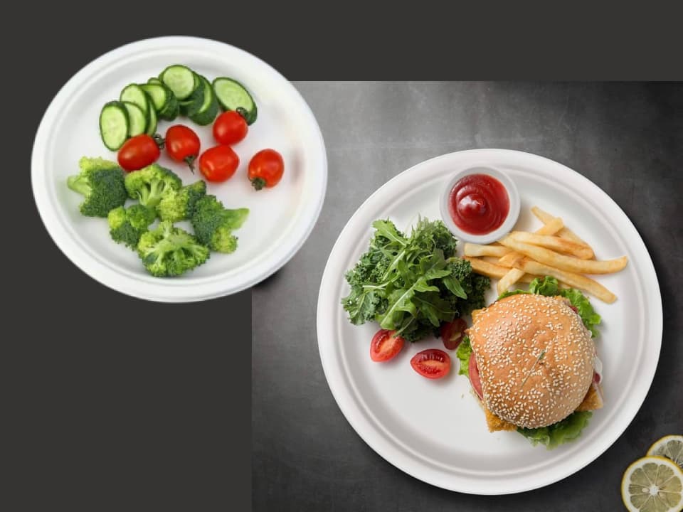 Bagasse Round Plates Big | Disposable Plain Plates - 9 Inch | 11 Inch 3