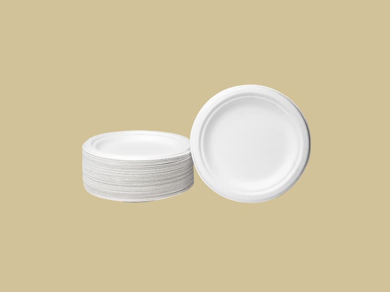 Disposable Bagasse Pulp Round Plates Small - 6 Inch | 7 Inch