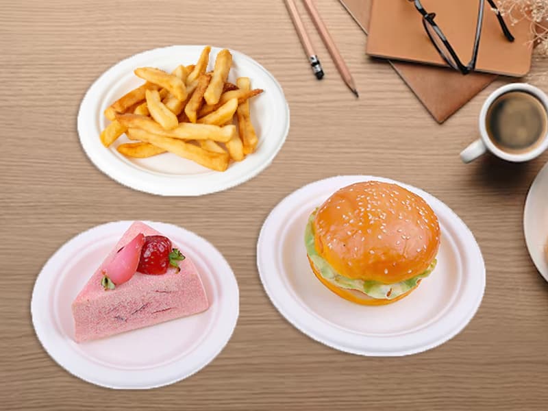 Disposable Bagasse Pulp Round Plates Small - 6 Inch | 7 Inch 3