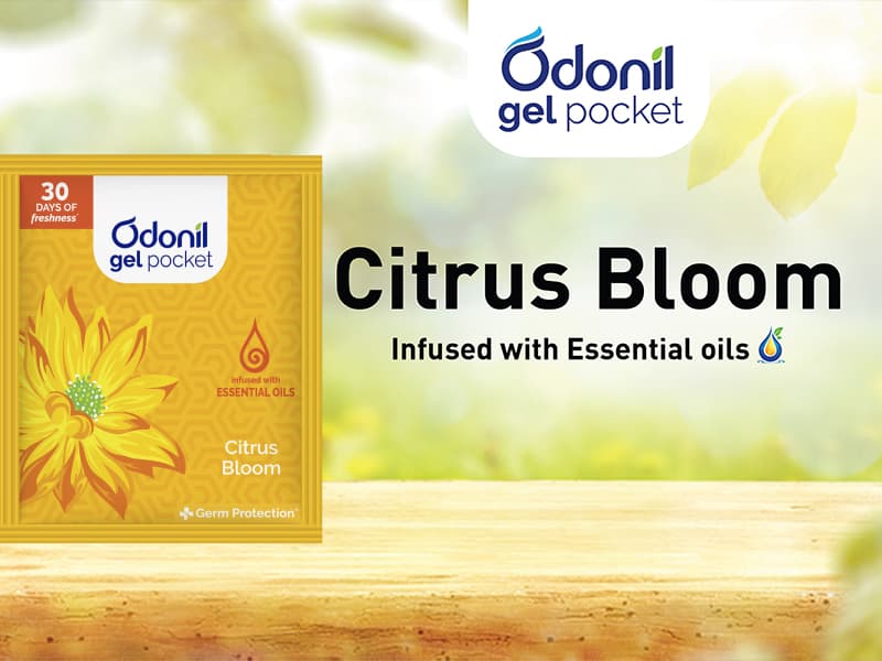 Odonil Gel Pocket Citrus Freshener - 10g 2