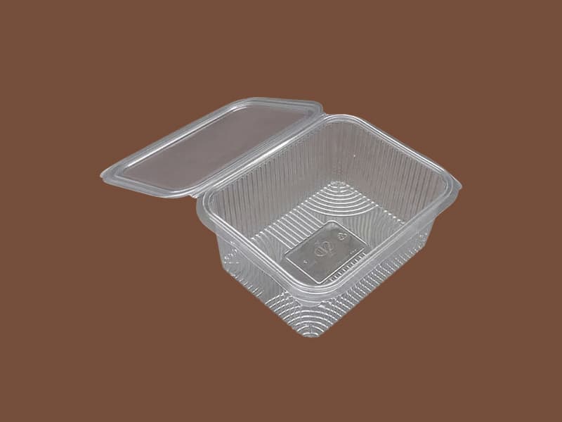 Transparent PET Hinged Container Snacks Packing - 1000ml
