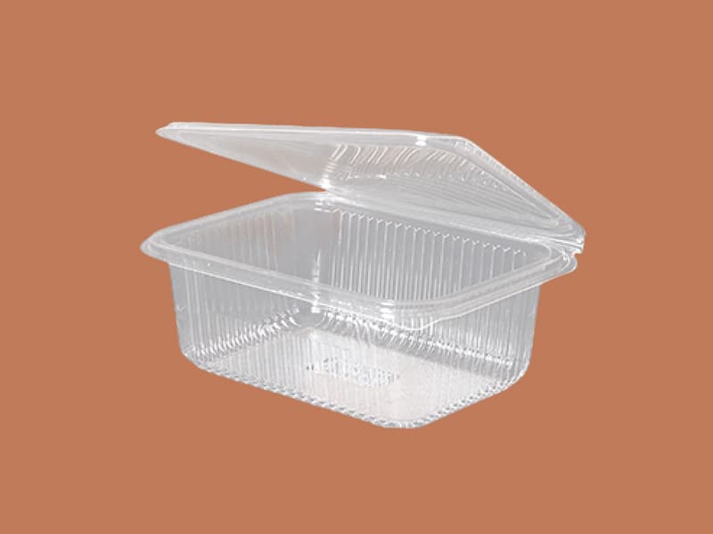 Transparent PET Hinged Container Snacks Packing - 1000ml 2